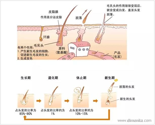 美发培训