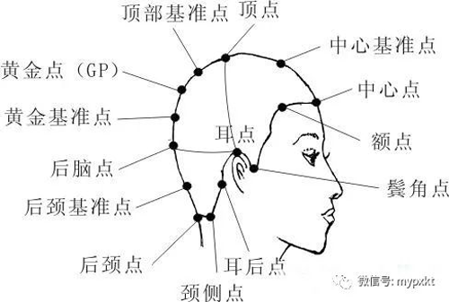 初学者剪发基本手法