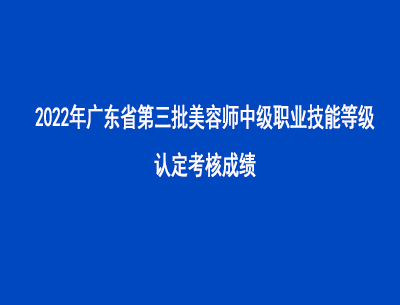2022年第三批广东省美容师中级职业技能等级认定考核成绩